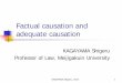 Factual causation and adequate causationcyberlawschool.jp/kagayama/CivilLaw/Tort/ComparativeStudy/causality2016.pdfthe scope of causality is too broad. Therefore, in order to limit