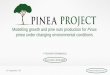 Modelling growth and pine nuts production for Pinus pinea under … · 2013-09-20 · Marta Baptista Coelho ISA Nuno Calado UNAC Nuno Coimbra Forest Owner Paula Soares ISA Pedro Jordão