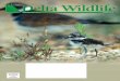 VOLUME XXV1 NO. 1 SPRING 2018 - Delta Wildlife...Bobby Carson, Vice-Chairman Jim Luckett Mike Sturdivant, Jr. Sledge Taylor, III Dudley Stewart Jim Luckett John Montfort Jones Walt