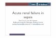 Acute renal failure in sepsis - IC verpleegkundige › files › acute... · ARF in sepsis Moderate sepsis N = 649 Severe sepsis N = 467 Septic shock N = 110 Acute renal failure •Positive