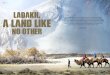 INDIA | LADAKH Ladakh, a land likegps-india.com/wp-content/uploads/2018/pdf/GPS_EDWIN- آ  INDIA | LADAKH