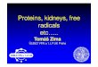 Proteins, kidneys, free radicals etc…..Causes of acute kidney injury include: 1. decreased renal blood flow - prerenal uremia 2. parenchymal damage – renal uremia 3. obstruction