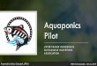 Aquaponics Pilot · PDF file Aquaponics Pilot UPPER FRASER INDIGENOUS SUSTAINABLE HARVESTERS ASSOCIATION ... • Best to grow hardy fish that are adaptable and/or native to the area
