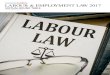 Labour & EmpLoymEnt Law 2017 - CREEL › wp-content › uploads › 2017 › 02 › Labour-Empl… · and consumer markets, on all of their labor and employment matters; Coexpan,