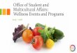 Office of Student and Multicultural Affairs: Wellness ... · Complete the post-survey before you leave Sign the sign-out sheet NobleHours: 1) MCG students must write an encouraging