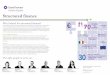 Structured finance - Grant Thornton Ireland · 2015-10-12 · for structured finance transactions such as quoted Eurobond issuances, repackaging's, CLO and LPN structures, aircraft