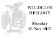 WILDLIFE BIOLOGY Monday 13 Nov 2017...• Apical dominance = influence of apical bud on plant growth. - Reduces growth of buds along the sides of stems. Stem Primary Growth. The result
