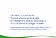 EarthTec QZ Case Study: Control of colonial hydroids · Study Objective: To compare two strategies for protection against biofouling of the cooling system Sher-Release Foul-Release