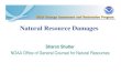 Natural Resource Damages · Comparison of 312 and 307 Section 312 Larger injuries Natural resource damage assessment and claim development Present claim: settle, or file suit in U.S