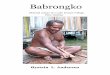 Babrongko, Material culture of a Lake Sentani Villagepapuaweb.org/dlib/lap/andersen/babrongko-en.pdf · 1.2 The House of Custom (Balai Adat) The ‘house of custom’ is the most