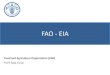 FAO - EIA › system...FAO leads international efforts to end hunger WDC • Mandate: to raise levels of nutrition, improve agricultural productivity, better the lives of rural populations