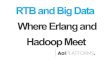 RTB and Big Data Where Erlang and Hadoop Meet · Avro Log Format • Binary format • Structural data support • Arrays, Trees etc. • Compression • Self descriptive ... •