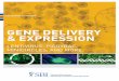 GENE DELIVERY & EXPRESSION - System Biosciences › wp-content › uploads › SBI... · 06 SBI / Gene Delivery & Expression INTEGRATING VECTOR SYSTEMS POWERFUL AND FLEXIBLE LENTIVECTORS