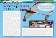 ˇ ˛#˝ I˘ Bˇ!? ˘ˆ˚ ˝ M 11 O˜ › clippingsme-assets › ...competition planes, or like us Park Pilots, simply fly smaller lighter electric models, rest assured that as the