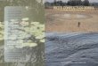 WATER CONFLICTS IN ODISHA€¦ · A Compendium of Case Studies edited by Pranab R. Choudhury, Bhupesh C. Sahoo, Jinda Sandbhor, Suhas Paranjape, K. J. Joy, Shruti Vispute. Water Conflicts
