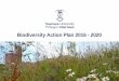 Biodiversity Action Plan 2016 - 2020 › media › Biodiversity-Action-Plan.pdf · Swansea University Biodiversity Action Plan 2016 - 2020 . 2. Foreword . Biodiversity – the variety