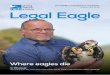 Summer 2019, No 88 Legal Eagle Eagle 18.7.19 WEB... · 2019-07-30 · 2 Legal Eagle 88 Welcome to the summer issue of Legal Eagle, including a review of the biggest recent wildlife