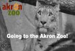 Going to the Akron Zoo! · 2020-02-28 · Going to the Akron Zoo! At the Akron Zoo, you’ll enter our Welcome Center through the big, wooden double doors. I’ll wait in line with