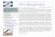 The Kingfisher - Cape Cod Bird Club › wordpress › wp... · Club Bird Walks, Spring 2017 PAGE 3PAGE 3 THE KINGFISHER VOL 45 (3) April High Head/Pilgrim Heights – N. Truro Ed