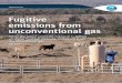 Fugitive emissions from unconventional gas - GISERA...2019/07/19  · natural gas, oil and coal. They also include CO2 emissions associated with flaring of excess gas to the atmosphere
