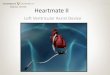 Heartmate II · • LVAD is correctly assembled and all joints are tight • LVAD is primed with sterile injectable normal saline • Pump remains on back table until time to implant