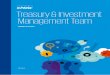 Treasury & Investment Management Team...challenges and opportunities in the traditional or the alternative investment management space. KPMG has a solid understanding of the Treasury