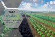TUAKAU ROAD - Fairbanks Seeds New Zealand · Moderately/Intermediately resistant plant varieties will still show less severe symptoms or damage than susceptible plant varieties when