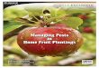 Managing Pests in Home Fruit Plantings · 2012-05-01 · Fruit Diseases: Disease Susceptibility of Common Apple Cultivars (BP-132-W) Apple Cultivars for Indiana (HO-165-W) Fruit Diseases: