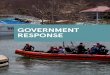 GOVERNMENT RESPONSE...affairs, off-island support, military police, and air operations. DEFINING GOVERNMENT RESPONSE “Government response” could be defined broadly to mean the