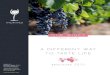 OUR WINES · Tintorero Hijuela San Juan Cabernet Sauvignon Sauvignon Blanc Chardonnay Carménère Merlot Pinot Noir LAND OF OUR ROOTS IncWines, LLC. Rua Alvaro de Menezes, 74 sala