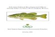 Selenium-Induced Developmental Effects Among Fishes in ... · Selenium, being a chemical analog of sulfur, is especially detrimental when substituting sulfur in protein synthesis