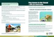 Tiny homes in the Tweed › Download.aspx?Path... · The tiny house movement is gaining momentum, with increasing numbers of Australians adopting this affordable lifestyle choice