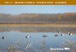 2011 MANITOBA HUNTING GUIDE4 Manitoba • 2011 Hunting guide This guide summarizes information dealing with licences and hunting laws. The guide is neither a legal document nor a complete