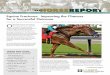 Equine Fractures: Improving the Chances for a …horses was still in its infancy. The use of stainless-steel plates for long-bone fractures and the now well-known Bramlage technique