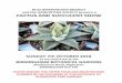 The Haworthia Society – The International Society … › ... › 2018-Autum-Show-A5-in-page-order.pdfAll Haworthia classes will be judged in accordance with the Guide to Shows Edition