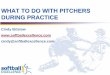 What to Do with Pitchers During Practice - Softball Australiaassets.softball.org.au/dl/sal/Coaching/Resources/Softball Coaching... · Up/Down In/Out Mix Movements Up/Down (rise/drop)