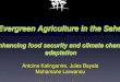 Enhancing food security and climate change adaptation Kalinganire-EN(1).pdf · Sustainable use of biodiversity Loss of a biodiversity reduces ecosystem resilience significantly with