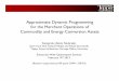 Approximate Dynamic Programming for the Merchant ...egon.cheme.cmu.edu › ewo › docs › EWO_Seminar_02_19_2013.pdf · Dynamic Programming and Optimal Control , vol. 2. 3rd ed