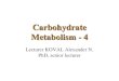 Lecturer KOVAL Alexander N. PhD, senior lecturer › ... › 10-11-carbohydrate-metab… · 10/09/2018  · Carbohydrate Metabolism - 4 Lecturer KOVAL Alexander N. PhD, senior lecturer