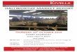 HALLWORTHY MARKET REPORT - Kivells · Steers from Messrs J & K Symons of Camelford, met a strong trade, selling to £915, for a choice 19 month old. Over 100 Heifers on offer, with