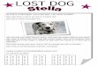 ANNEXE 25 Lost dog poster - Académie de Versailles€¦ · She has got a red collar, a black ID tag with her name on it and she is tattooed. She likes bones and toys. She is full