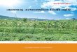 ActionAid Nepal - hnjfo' pTyfgzLn lbuf] s[lif...Climate Resilient Sustainable Agriculture (CRSA) Equitable Actions To End Poverty lbuf] s[lif Pp6f hLjgz}nL xf] h'g :jfjnDjL / s[lif