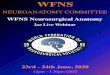 2nd Announcement v1 2020-05-31آ  WFNS NEUROANATOMY COMMITTEE WFNS Neurosurgical Anatomy 2nd Webinar
