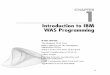 WebSphere Smart Distributed Computing - Introduction to IBM … · 2002-10-14 · for IBM zSeries and IBM S/390. This application server is also used for production environments,