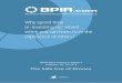 Why spend time re-inventing the wheel when you …...BPIR.com Limited 2018 - Best Practice Report - Vol. 10, Iss. 2 1 Business Performance Improvement Resource BPIR Best Practice Report