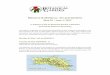 Menorca Mallorca: Art and Gardens - UC Botanical Gardenbotanicalgarden.berkeley.edu/wp-content/uploads/...Menorca & Mallorca: Art and Gardens May 22 – June 1, 2017 In Support of
