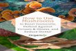 How to Use Mushrooms · The health benefits of reishi, also known as mannentake, lingzhi, or ling chi – scientific name Ganoderma lucidum – were first documented approximately