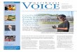 of Higher Education? - Northwest Voicenwvoicenews.com › wp-content › uploads › 2017 › 08 › NWV-August... · 2017-08-16 · INCLUDES EXAM, X-RAYS AND CLEANING (in absence