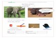 Animal adaptations heat sudents - XTEC › arc › sites › default › files › Animal... · 2014-08-06 · _____Centre de Documentació i Experimentació en Ciències 1.-Fill