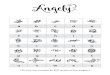 Angely - The Hungry JPEGThe... · Angely (cont) Archimedes Archimedes has two fonts included, Normal and Regular. Archimedes: Archimedes Archimedes Regular: Archimedes Regular This